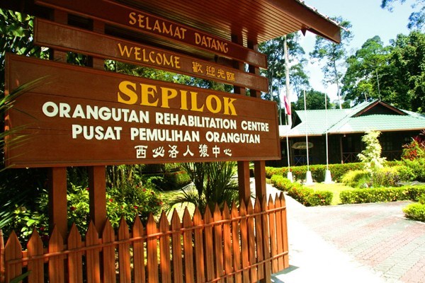 Sepilok Rehabilitation Centre, Sabah, Malaysia